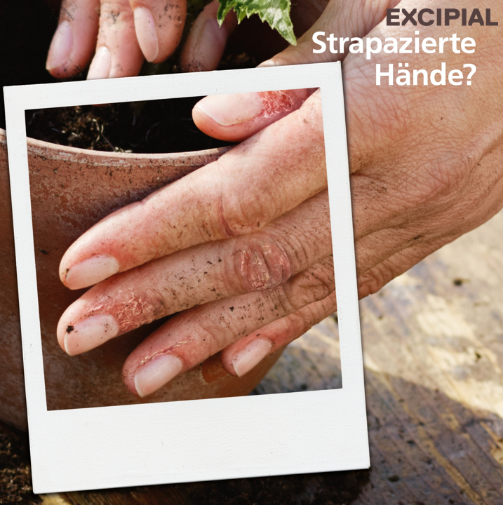 Excipial Protect Handcreme in weißer Spenderflasche mit 500 ml Inhalt.